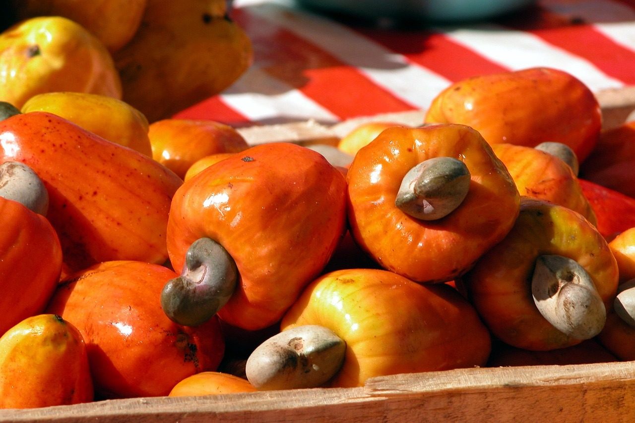 fruit, cashew nuts, brazil, cashew nuts, cashew nuts, cashew nuts, cashew nuts, cashew nuts, brazil, brazil, brazil