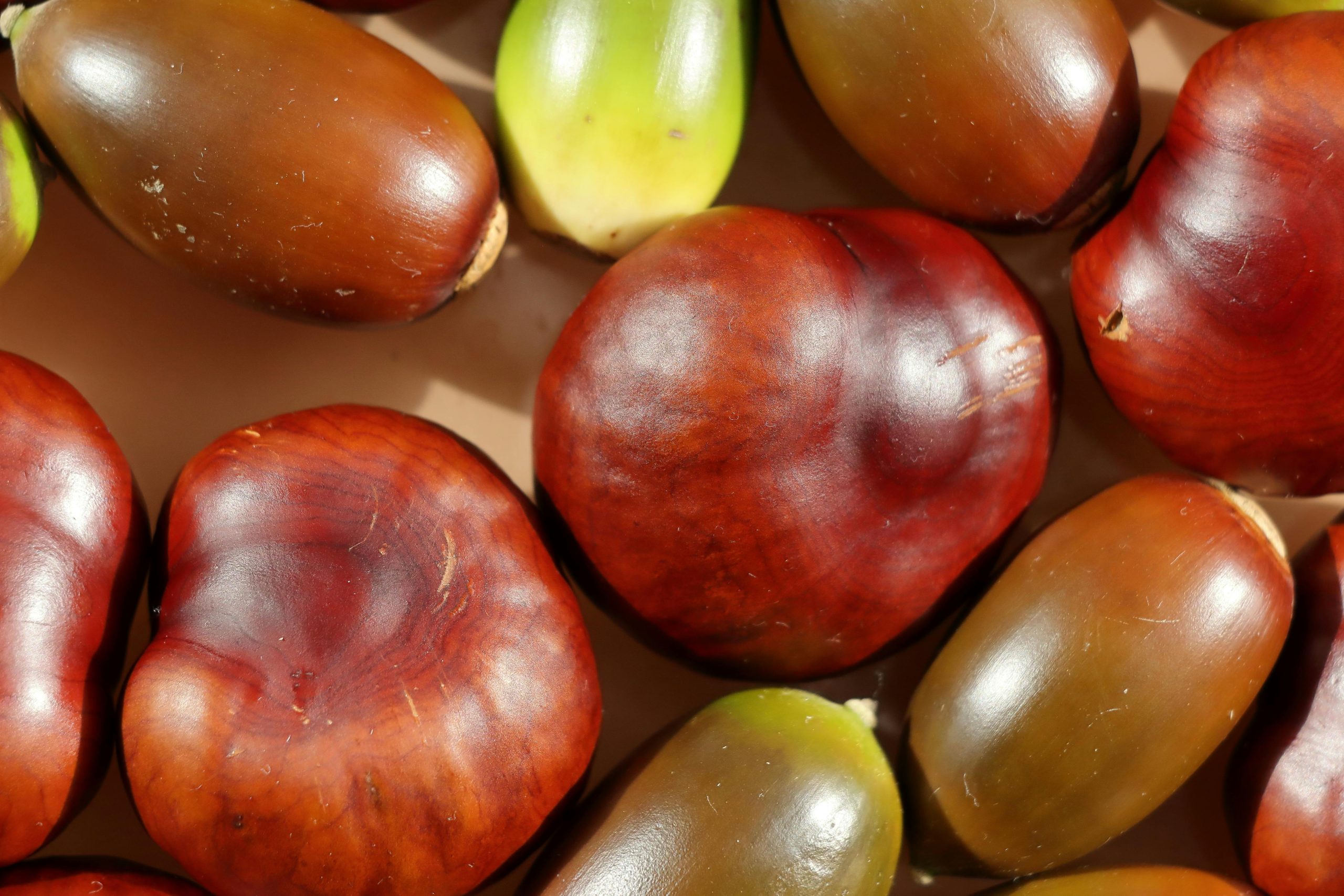 High-angle view revealing the rich textures of fresh chestnuts and dates.