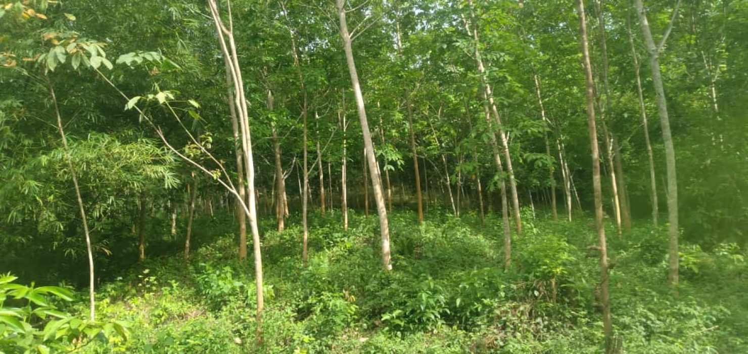 WhatsApp Image 2025-10-27 at 12.57.18 PM(1)