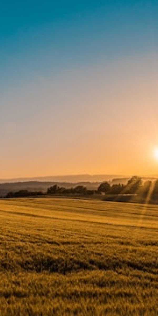 federico-respini-sYffw0LNr7s-unsplash
